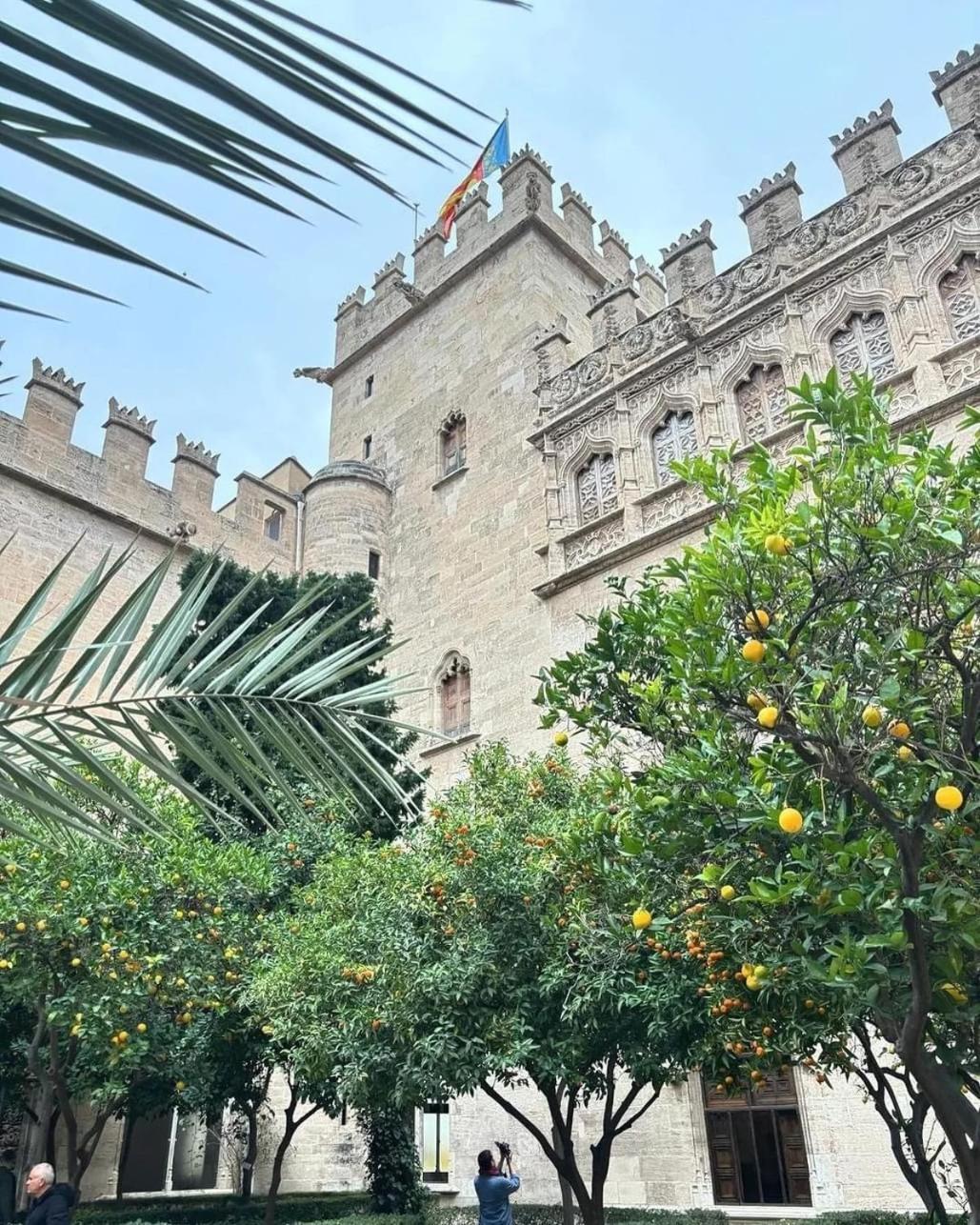 Mirador 1 Del Mercado Central - Habitacion Con Bano Privado En El Centro De La Ciudad Vella 瓦伦西亚 外观 照片
